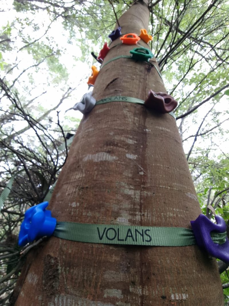 Kids Climbing Holds and Ratchet Straps - Tree-Mounted Ninja Climbing Adventure Kit - Image 2