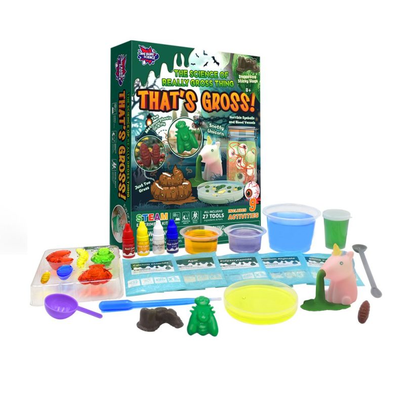 Complete Pottery Wheel and Painting Kit for Young Artists - AC