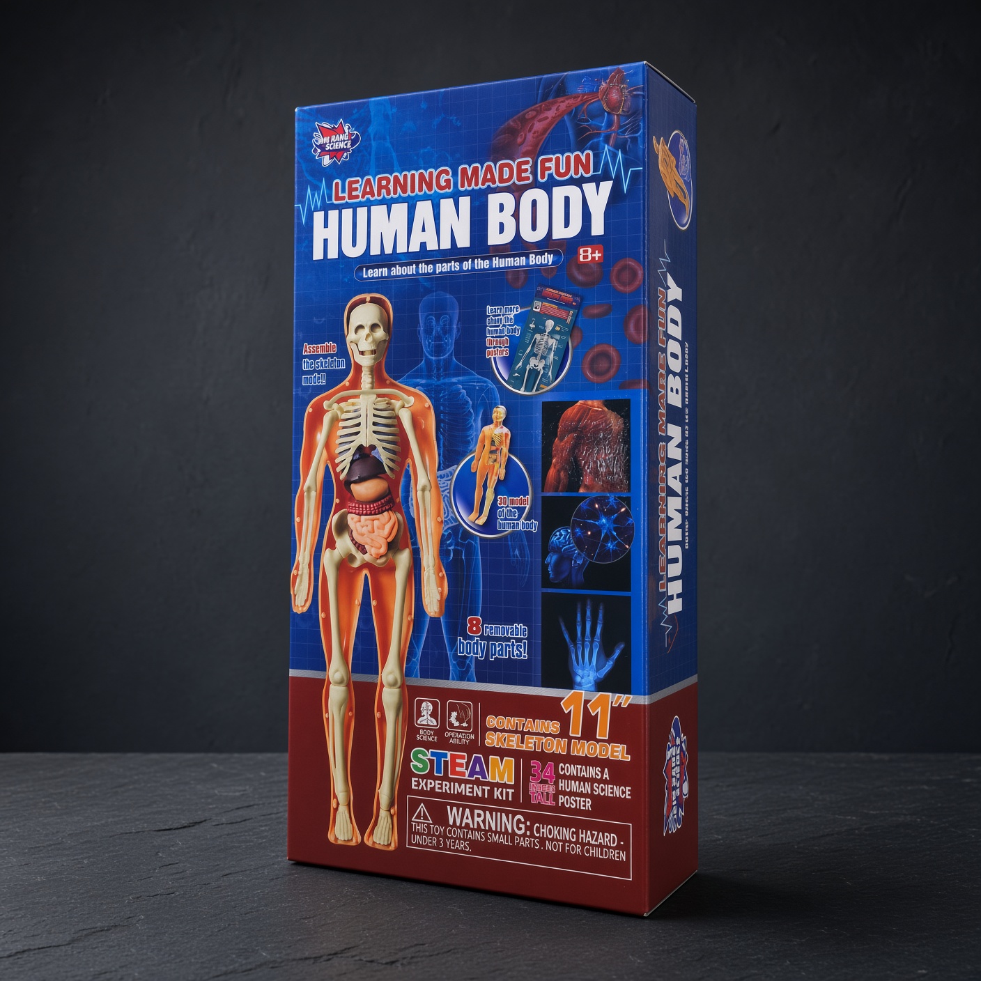 Interactive Human Body DIY Set | Ages 8+
