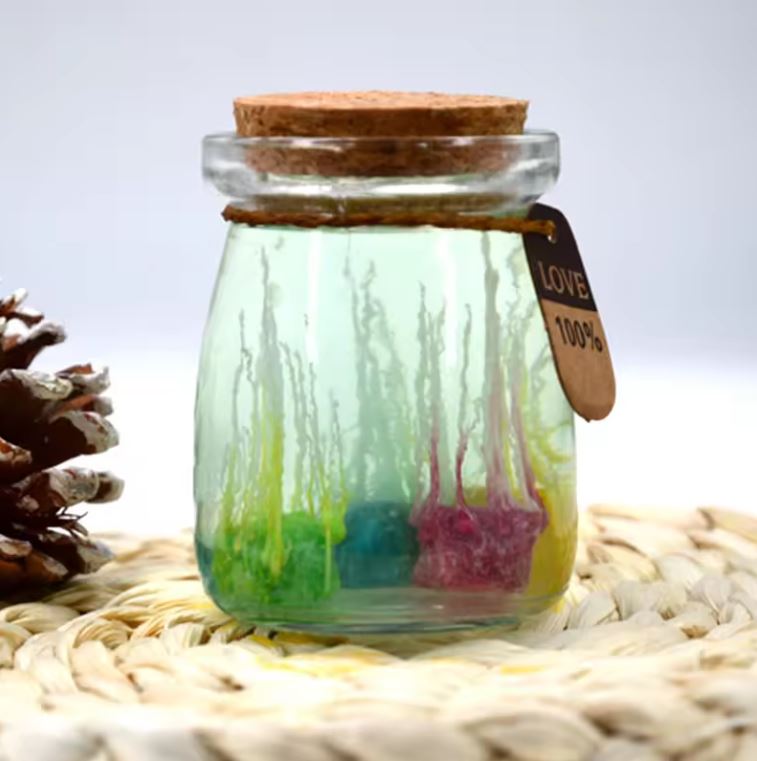 STEM Amazing Underwater Chemical Garden - DIY Set for Kids 8+