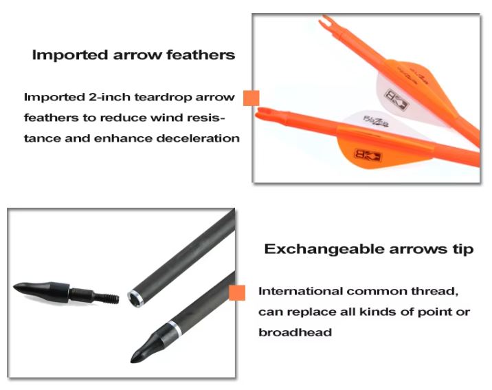 Bloodsport Affliction Arrows - 12 pack 6.2mm, 400 spine 82.5cm length - Image 5