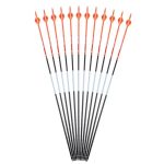 Bloodsport arrows