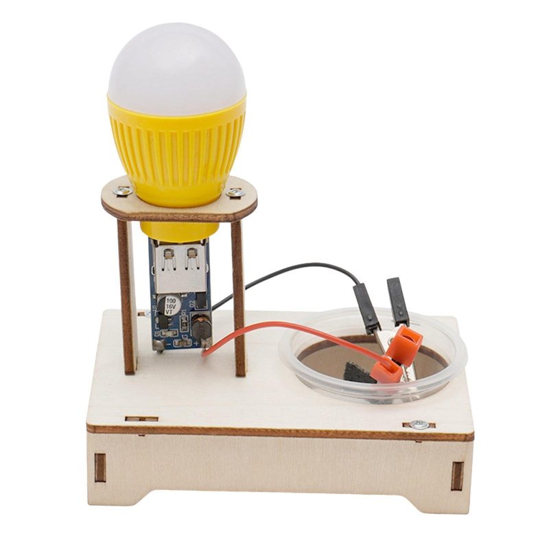 Salt water generator