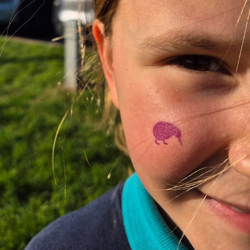 56pcs UV Detection Tattoos