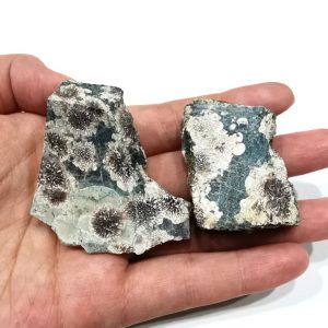 Gemstones: Green Flower Agate (Unpolished)