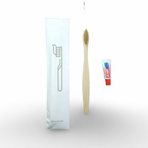 Travel Bamboo Toothbrush & Toothpaste Tube Set
