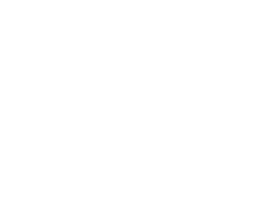 Volans